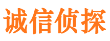 来宾市侦探调查公司